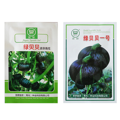 京研正品贝贝南瓜种子