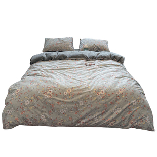 冬季ab面纯棉牛奶绒床上四件套全棉珊瑚法兰绒加绒被套床单三件套