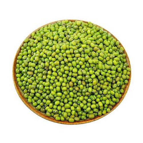 大志绿豆王种子绿豆红豆红小豆种籽大田基地高产抗病强春夏耐高温