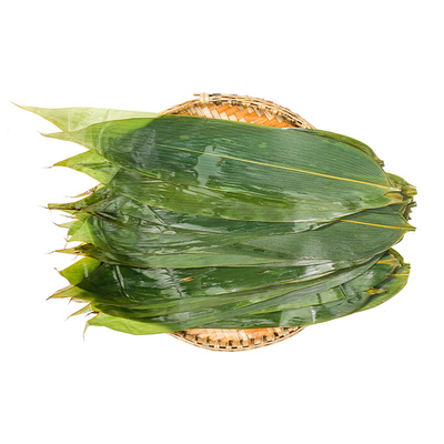 粽叶新鲜粽子叶包粽子专用大粽叶