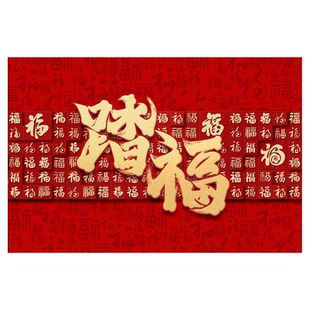 喜庆红色入户门地垫家用玄关进门门口脚垫新款可裁剪防滑地毯垫子