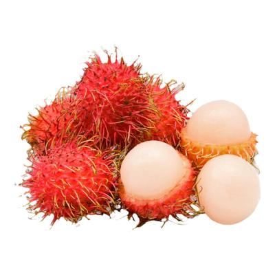 顺丰包邮海南保亭7号红毛丹礼盒