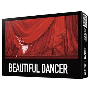 福思VOX拼图成人版666片减压高难度拼图玩具PUZZLE拼图分2包红舞