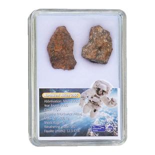 天然陨石顽火辉NWA2965原石保真科普标本星星收藏送礼球粒石陨石