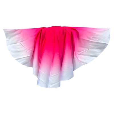 儿童中小学生运动会专用翅膀披风