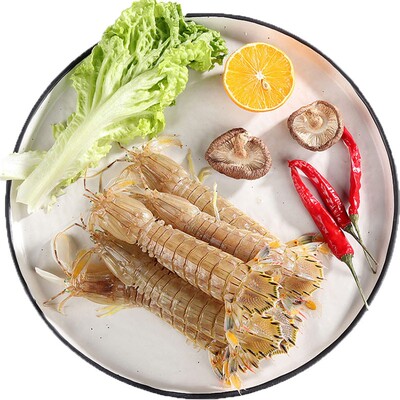 青岛鲜活皮皮虾超大特大顺丰包邮