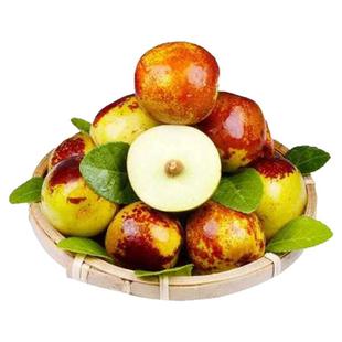 正宗山东沾化冬枣脆嫩可口新鲜冰糖枣子应季现摘精选品质整箱包邮