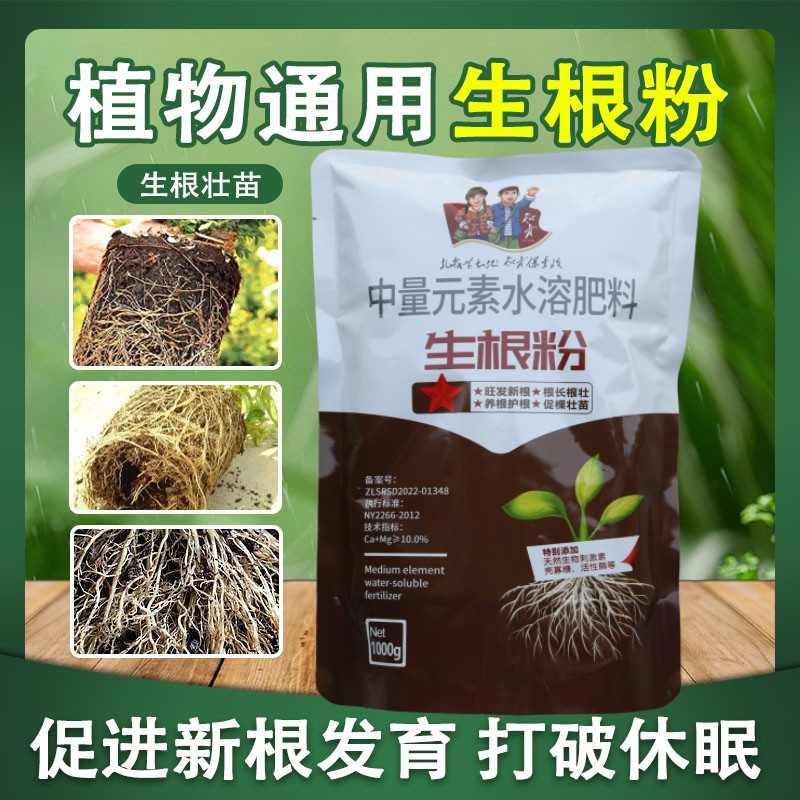 快速生根粉移栽生根剂液剂营养树木壮苗果树植物发根扦插生根花卉