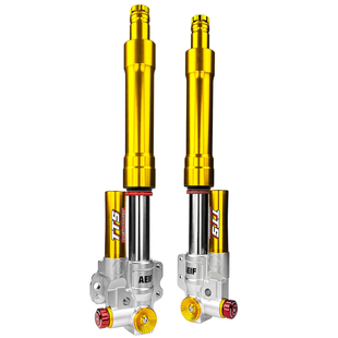 阿尔法TTS前减震适用本田NS150GX NWT NWG EVOGT  UHR150升仕150X