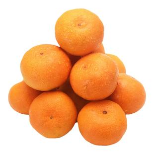 【天下一奇】 2025新桔上市 泉恋涌泉宫川蜜桔 新鲜橘子 黄岩蜜橘