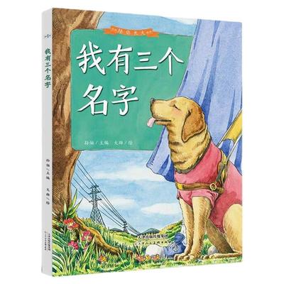 正品 我有三个名字 儿童精装硬壳大绘本 孙俪主编 3-8岁课外阅读