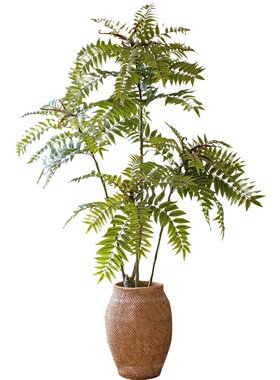 仿真绿植香椿树植物大型落地造景