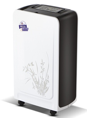 河南川泰CT161E小型家用除湿机电脑控制空气抽湿机地下室用除湿机