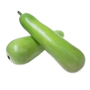 瓠瓜菜葫芦苗子种子瓠瓜葫芦短棒甜瓠瓜瓠子瓜四季春季蔬菜种子