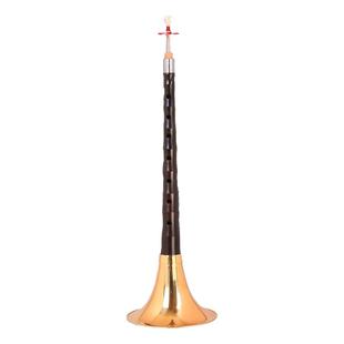 演奏专业黑檀木唢呐乐器红木全套d调D调初学者入门小号哨片配件