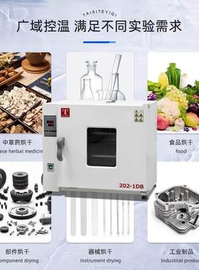 天津泰斯特 101-0DB 电热恒温鼓风干燥箱 实验室烘箱