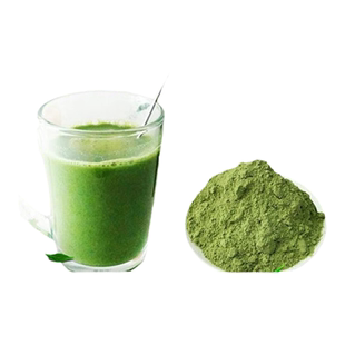 大麦若叶粉青汁粉嫩苗粉麦绿素粉破壁冲剂膳食纤维碱性果蔬粉