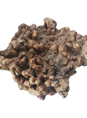 海缸造景活石天然培菌柏林系统
