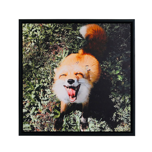 犀牛艺廊Fox系列久等啦!《Smile》含框可爱动物客厅儿童房装饰画