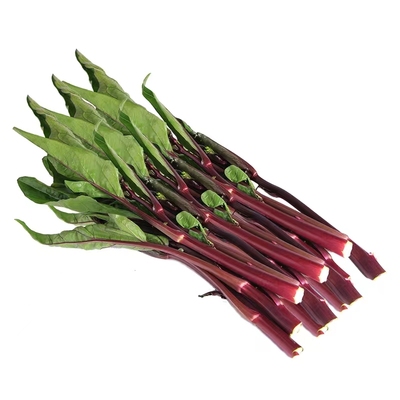 【精品菜薹】湖北宜昌农家自种红菜苔新鲜现摘青菜蔬菜紫洪山菜苔