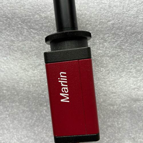 议价ALLIED Marlin，F-033C，工业C摄像