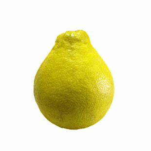 江永香柚纯甜老树冰糖沙田柚子湖南永州特产新鲜水果广西容县柚子