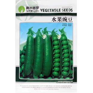 水果型甜豌豆种子 可生吃甜脆豌豆 水果型食米豌豆大荚荷兰豆种子