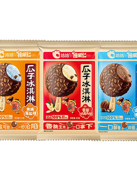 10支新品洽洽瓜子雪糕
