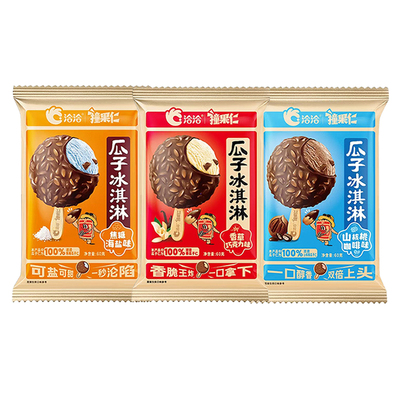 10支新品洽洽瓜子雪糕