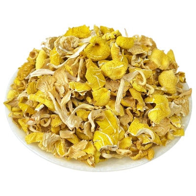 东北碎榆黄蘑菇干货鸡油菌包饺子