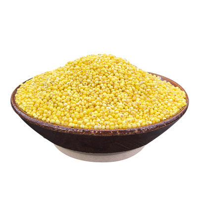 25年新大黄米东北正宗糯小米粥黍米包粽子专用黄黏米粘米五谷杂粮