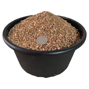 精筛选风化砂多肉颗粒土保湿营养土透气透水不板结生根快盆栽绿植