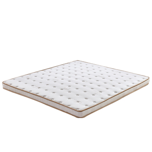 床垫子偏硬十大名牌椰棕床垫乳胶护脊儿童3e环保家用180x200棕垫