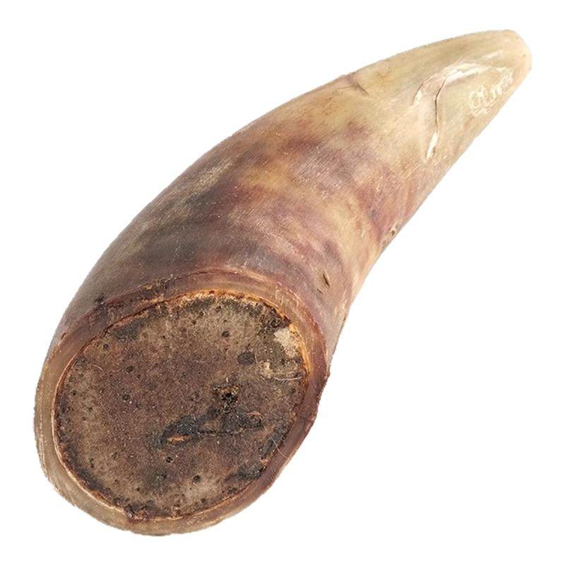 免费试吃狗狗零食风干牛角