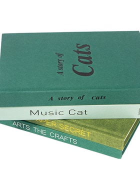 装饰摆件简约现代客厅样板房