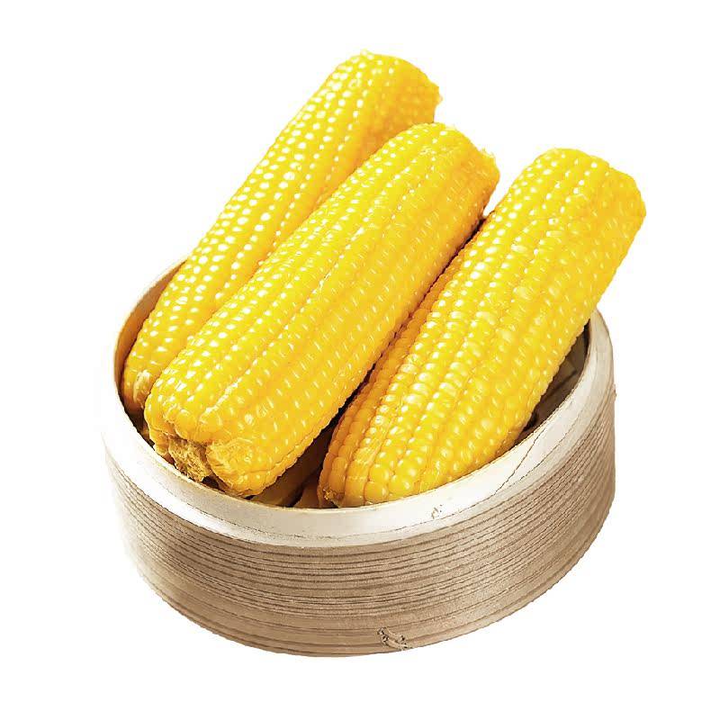 七稻町东北黄糯玉米新鲜甜糯玉米棒香甜玉米大棒代餐低脂整支
