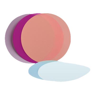 金刚石研磨砂纸203抛光片