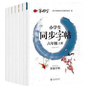 小学生同步字帖 一二三四五六七年级上下册罗扬字帖同步人教版教材一年级练字楷书好字一笔