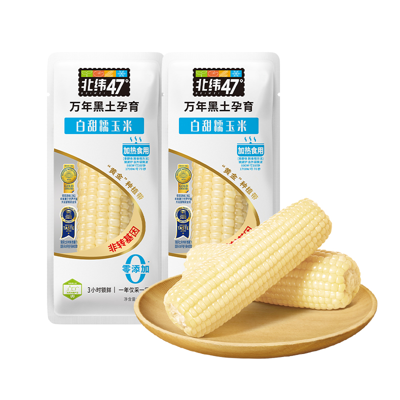 北纬47度新鲜糯玉米4穗