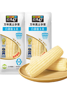 北纬47黑龙江白糯玉米