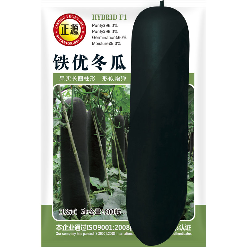 和利农黑皮大冬瓜种籽巨型