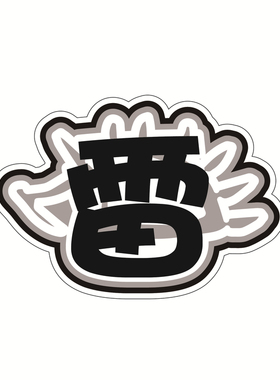 赵雷演唱会应援不织布钥匙扣挂件