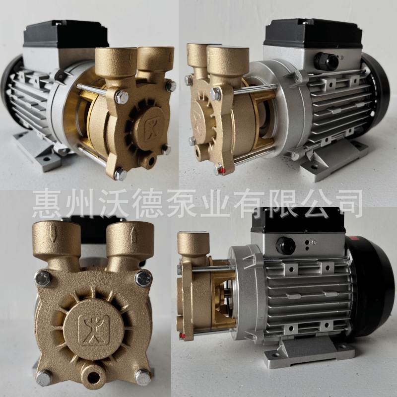 SPECK卧式漩涡离心泵Y-4081.2013电动耐高温热水导热油循环