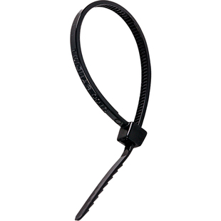 泛达panduit自锁式尼龙扎带扎线带100条 固定塑料捆扎带线束带白/黑色/彩色电话扎带 室内室外尼龙绑带扎带