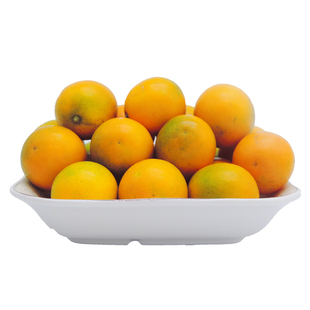 融安第三代脆蜜金柑独立糖果礼盒包装新鲜时令桔子现摘水果非糖聚