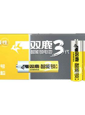 双鹿智能儿童防盗门不漏液干电池