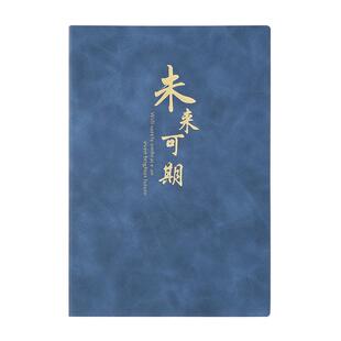 笔记本本子高颜值2025年新款简约ins风学生日记本礼盒套装加厚商务办公会议记录本a5工作记事本定制可印logo