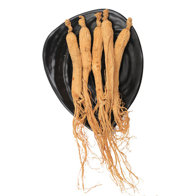 长白山人参生晒500g整枝东北特产