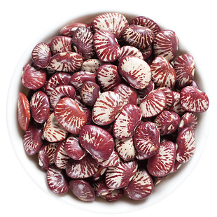 农家荷包豆新货5斤农家肾豆新鲜五谷杂粮豆类粗粮状元豆花芸豆