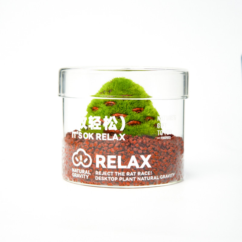 放轻松桌面创意绿植送人小众礼物
